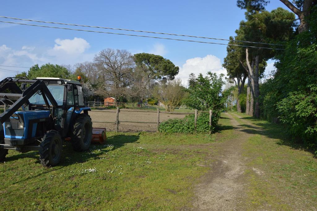 Agriturismo Tenuta Buon Respiro Орвието Экстерьер фото